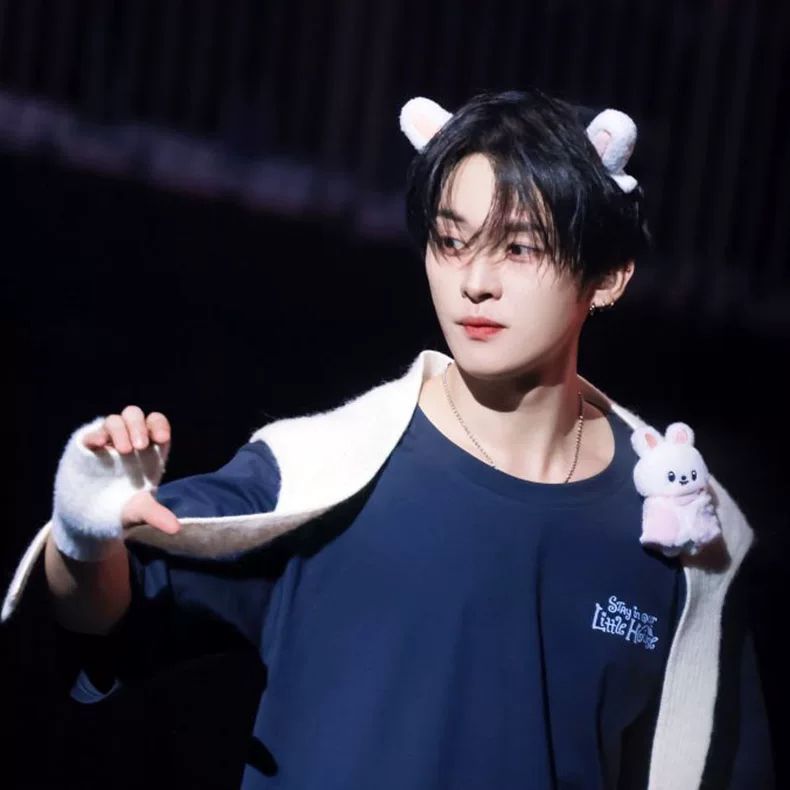 STRAY KIDS STAYINOURLITTLEHOUSE TSHIRT 100% COTTON